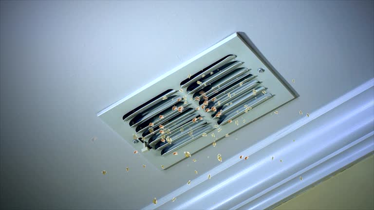 Best Best Air Duct Cleaning Company  in Cherokee, IA