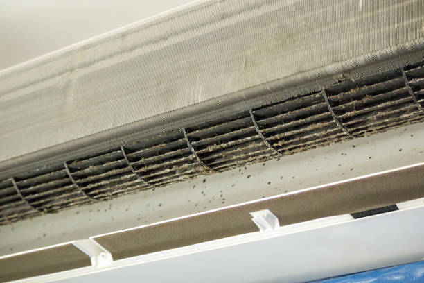 Best Best Air Duct Cleaning Near Me  in Cherokee, IA